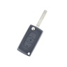 TS CITROEN 06 17218