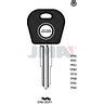 TP00DAE-3D.P1 (Silca DWO4RT0 / Errebi T00DW2RP) 13825
