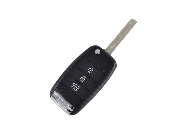 TS HYUNDAI 06 18237