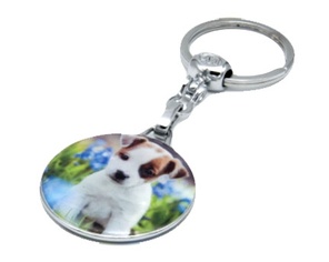 OSTALI PRIVEZAK DOG