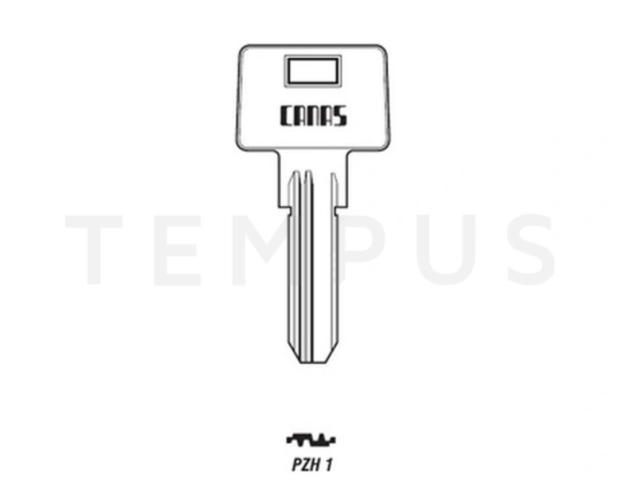 ZH1R canas PZH1 19738