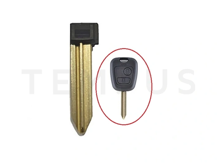 OSTALI MAČ PSA 01 / MAČ CIT 01 (SIX-3 / SX9)