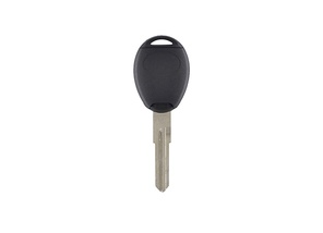 OSTALI TS ROVER 07