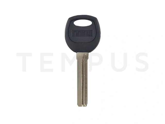 WANJIA-L Specijalan ključ 19951