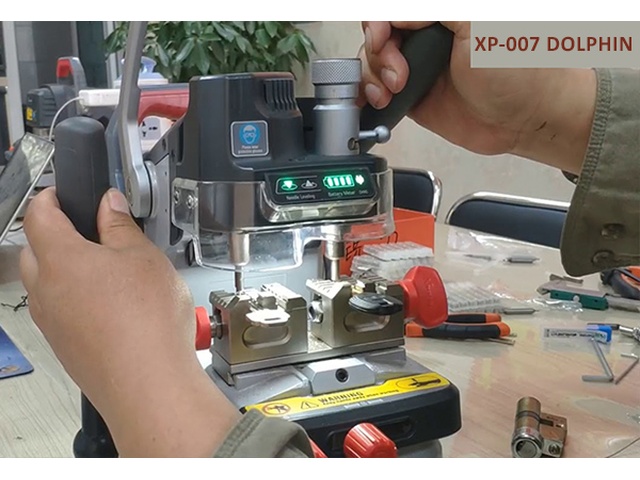 XP-007 DOLPHIN 14570